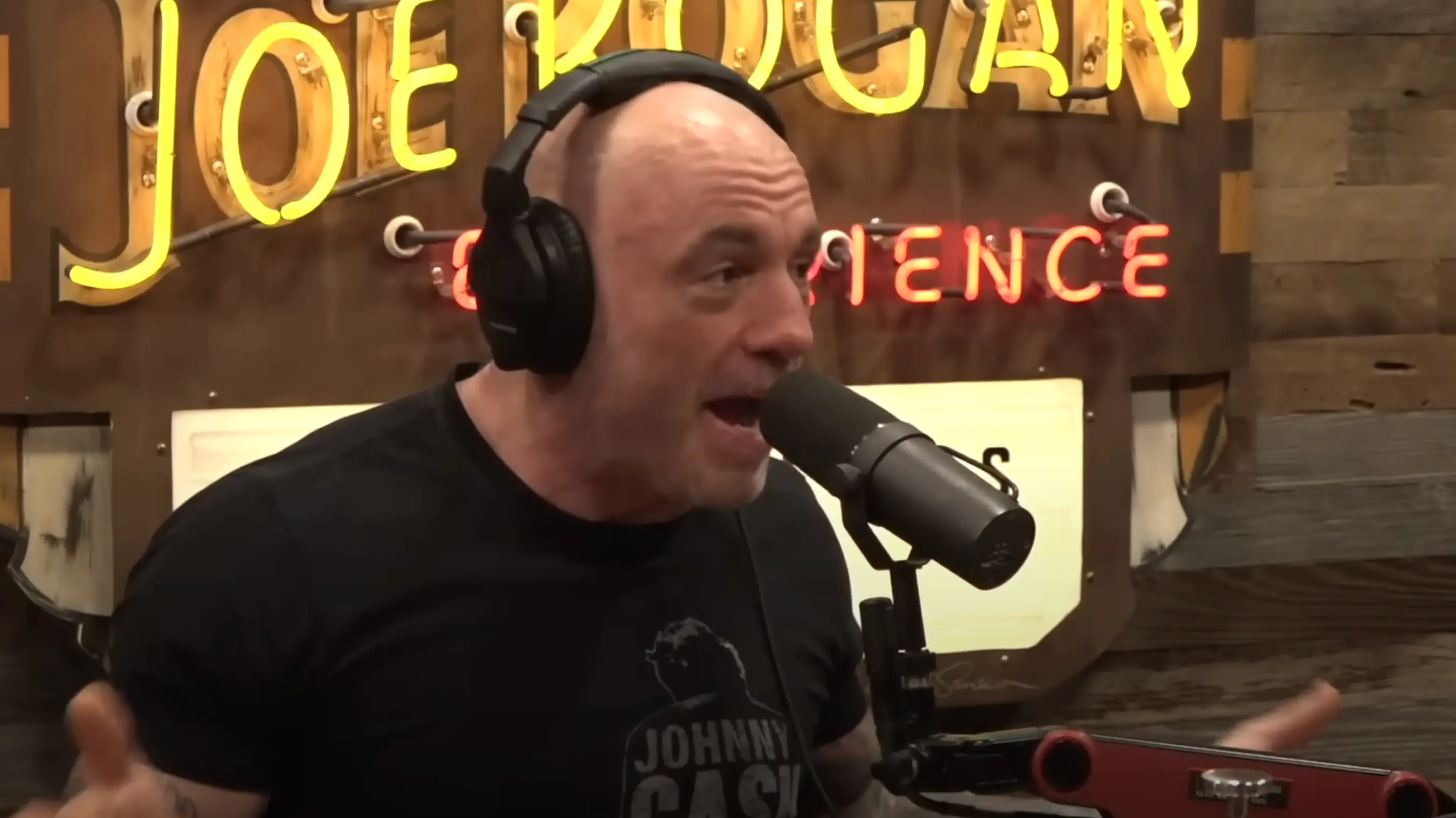 Joe Rogan Experience