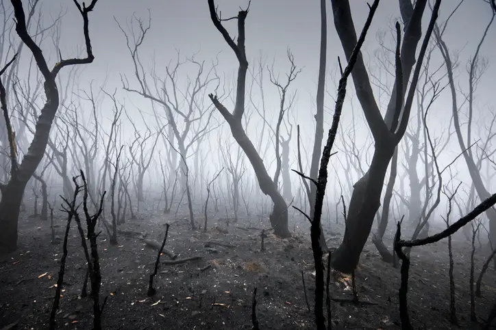 We'll be long gone before this happens (Getty Stock Images)