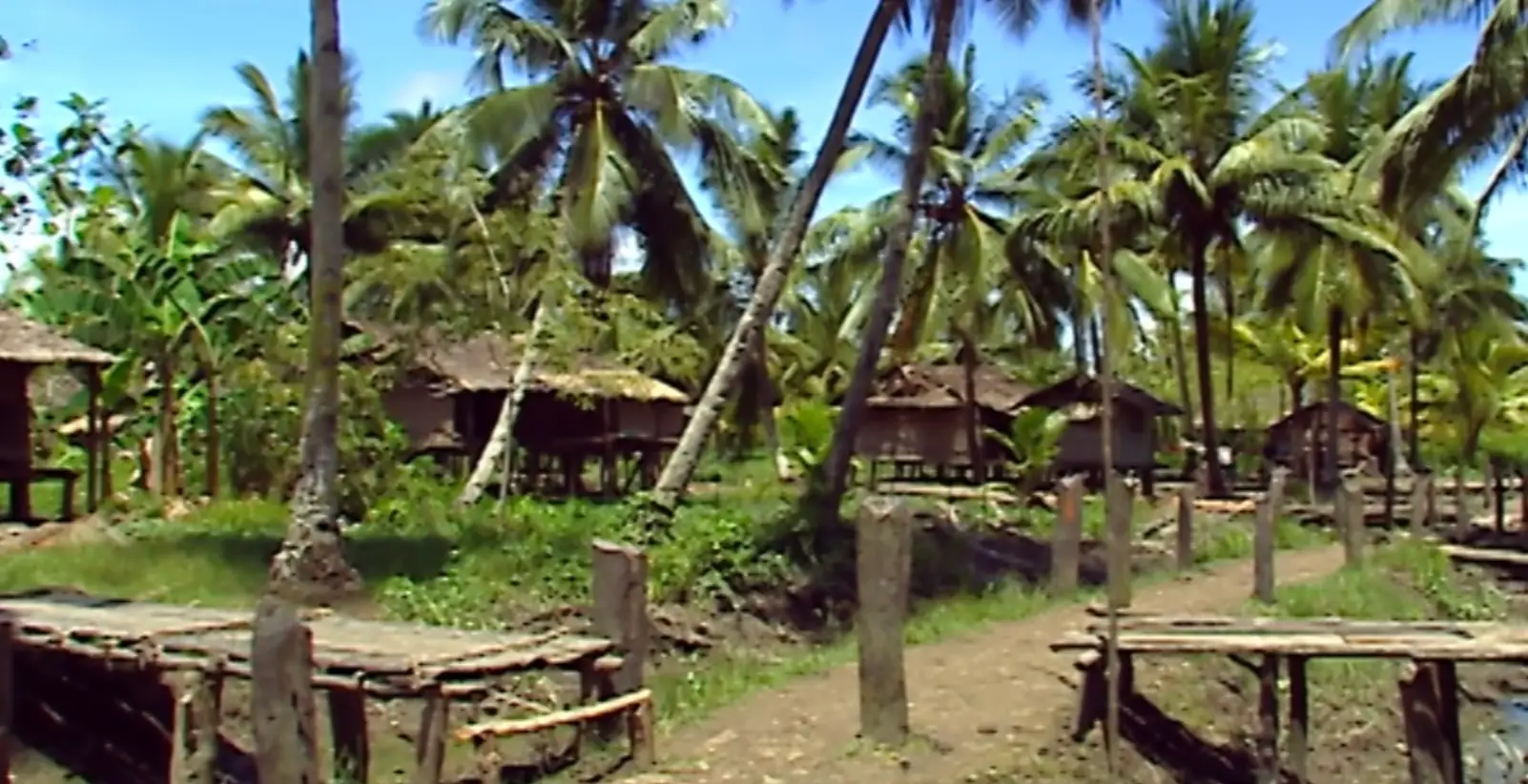 The tribe all live in large houses and work as a team to sustain themselves (YouTube/Slice)