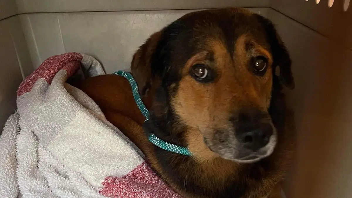 How could you abandon that face?