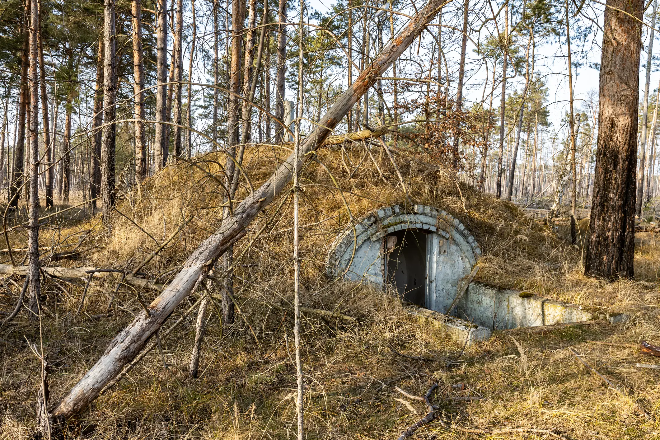 A former public official has claimed that the US government has secretly built a $21 trillion underground city for the worst-case scenario (Getty Stock Images)