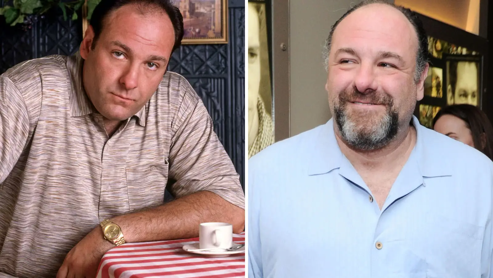 James Gandolfini died in 2013 (HBO / Ilya S. Savenok/Getty Images)