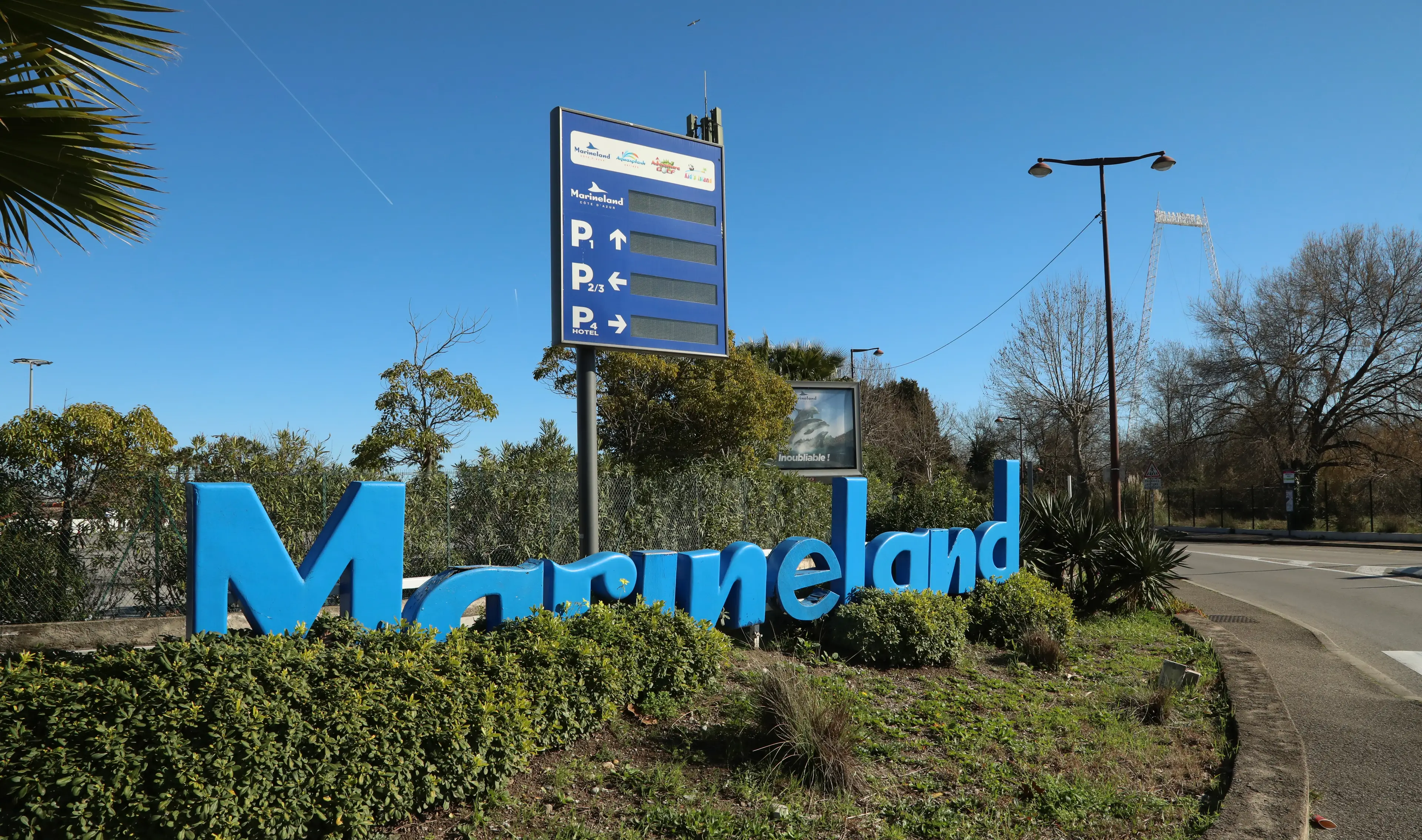 Campaigners warned that Wikie and Keijo 'could be next' if swift action isn't taken (Mohamad Salaheldin Abdelg Alsayed/Anadolu via Getty Images)