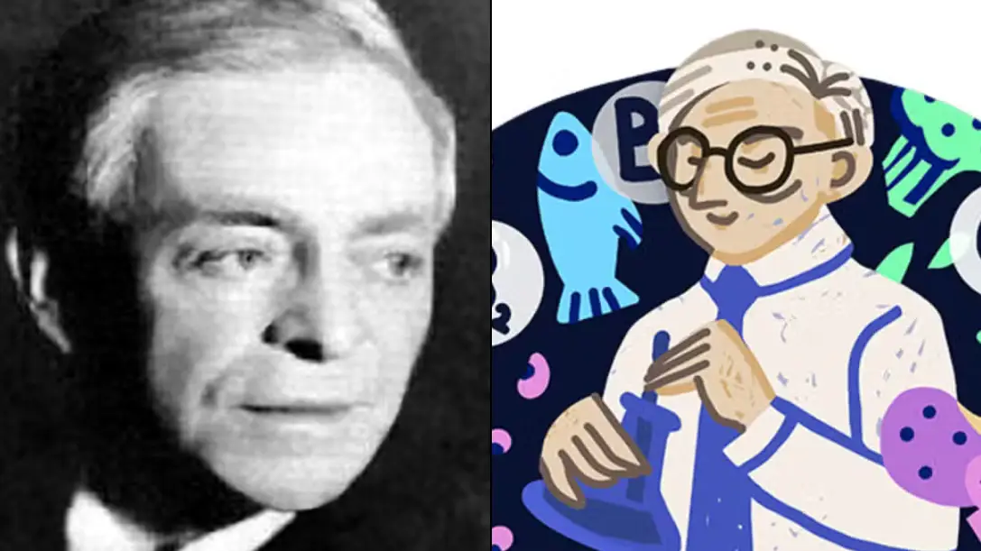 Wielka Encyklopedia Powszechna PWN / Wikimedia Commons / Google