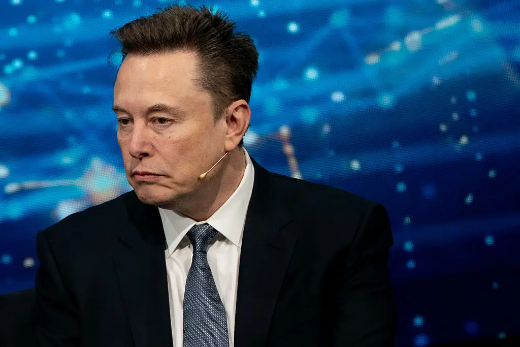Musk has called for the EU to be 'abolished' (Stefani Reynolds/Bloomberg via Getty Images)