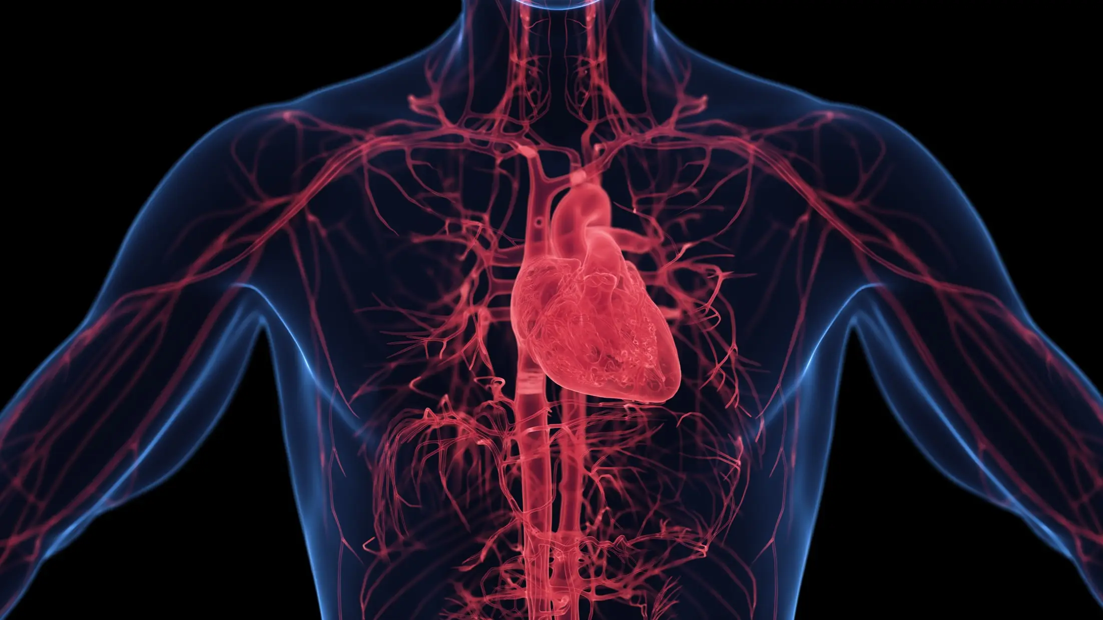 Doctor warns against risks of ‘single worst thing you can do to your body’