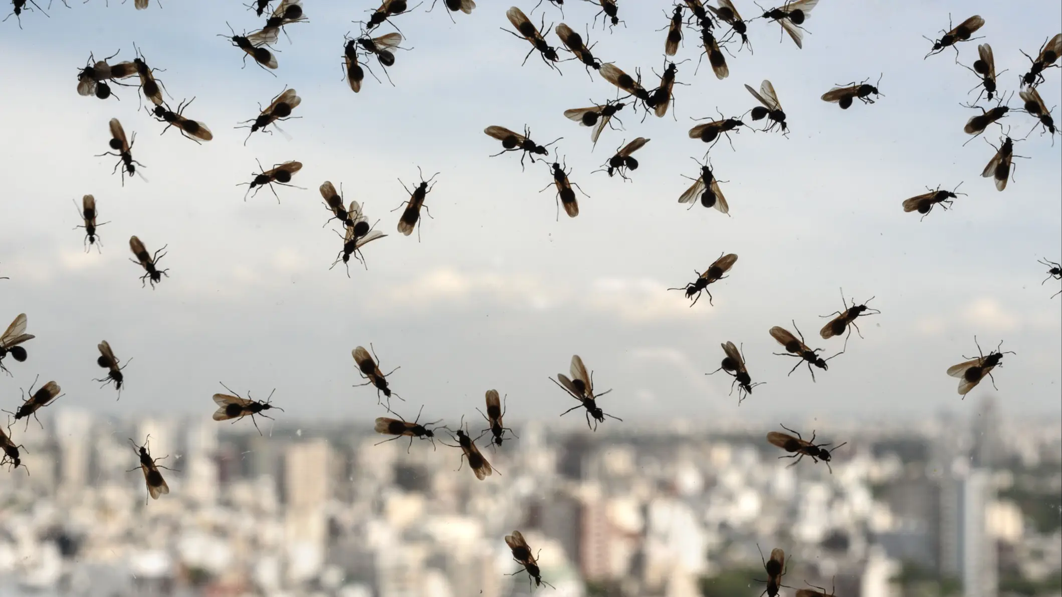 Getty Images/nickalbi