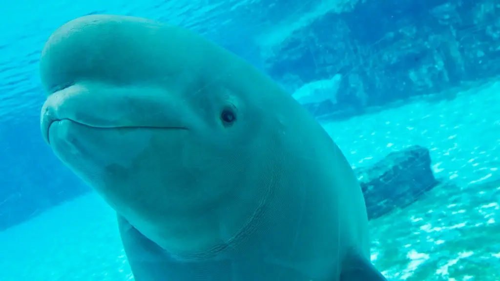 Tara Walton/Toronto Star via Getty Images