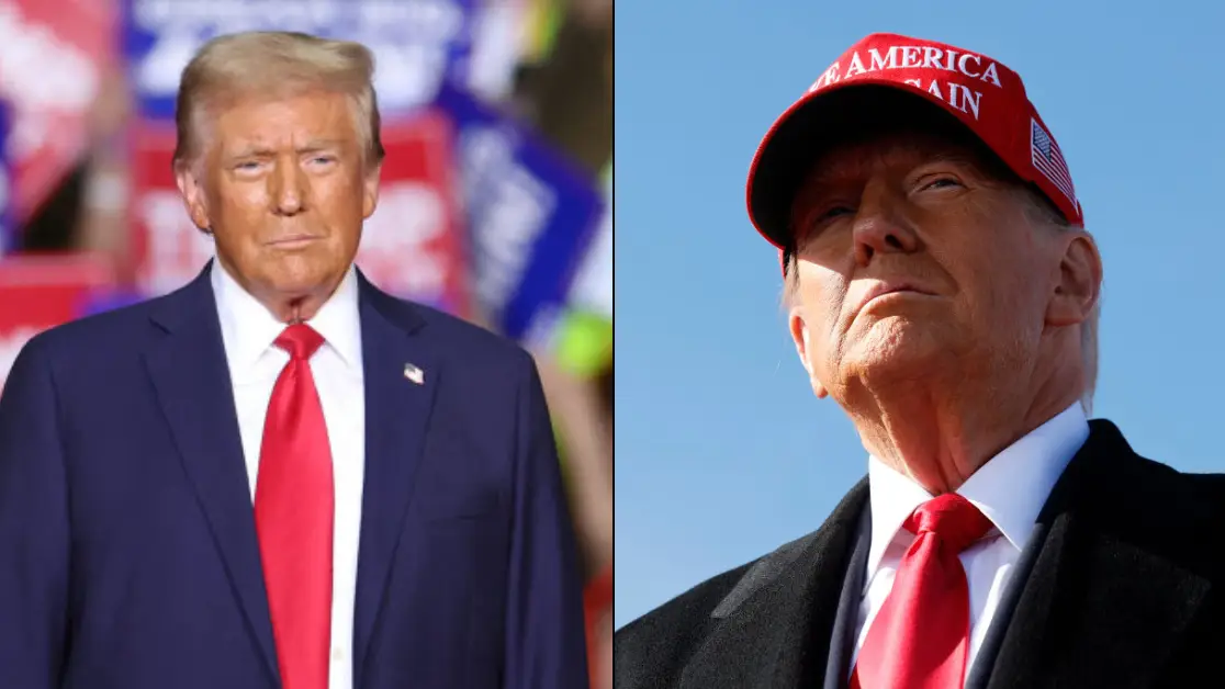 Donald Trump wins 2024 US presidential election