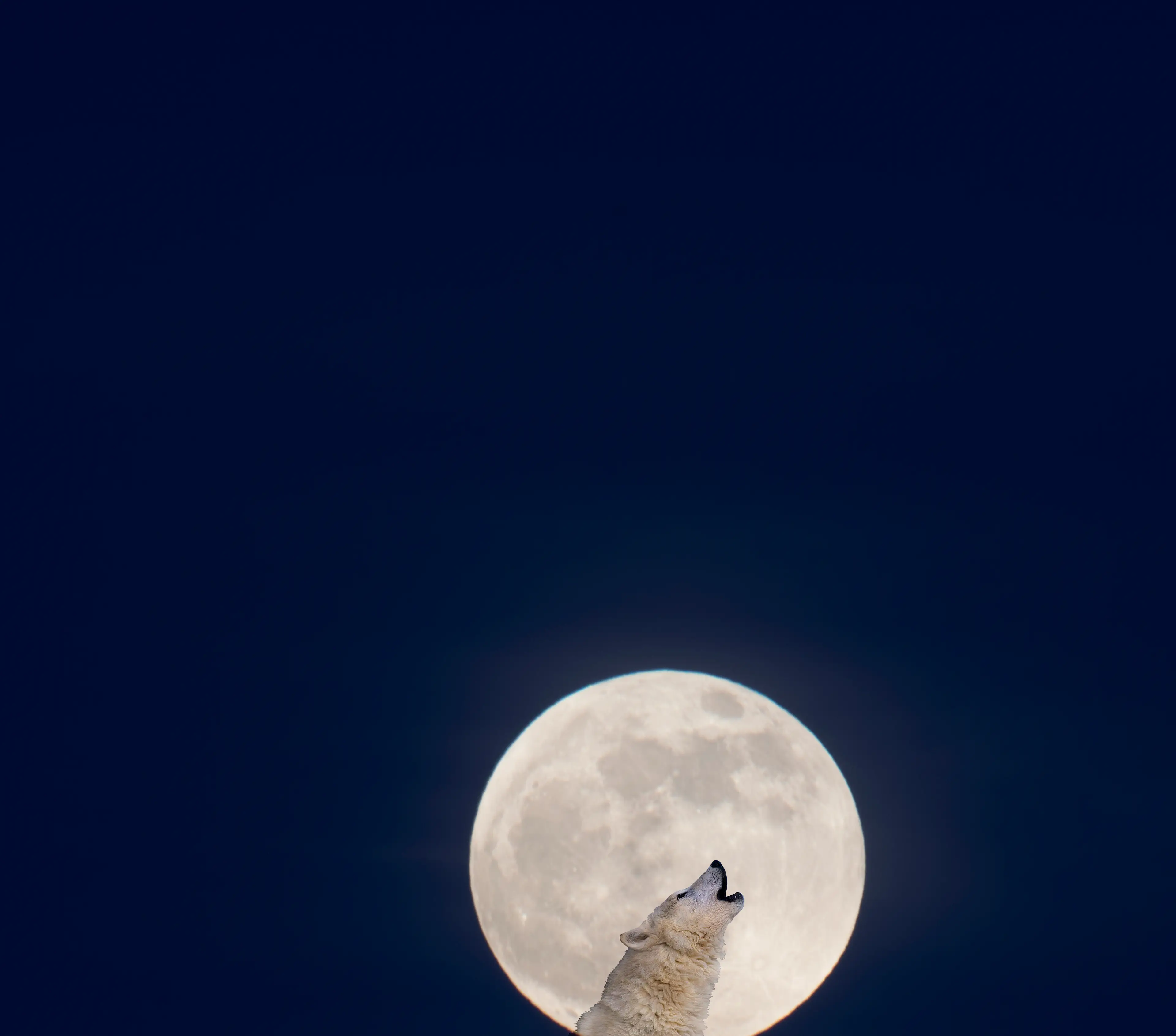 Now that would have been spookier (Getty Stock)