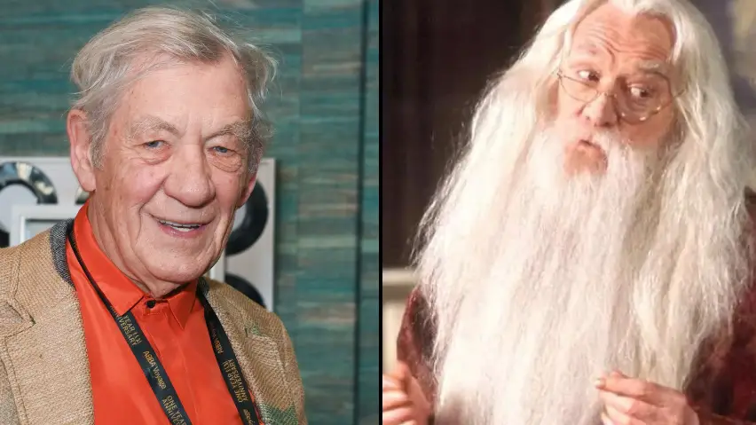 David M. Benett/Alan Chapman/Dave Benett/Getty Images / Warner Bros.