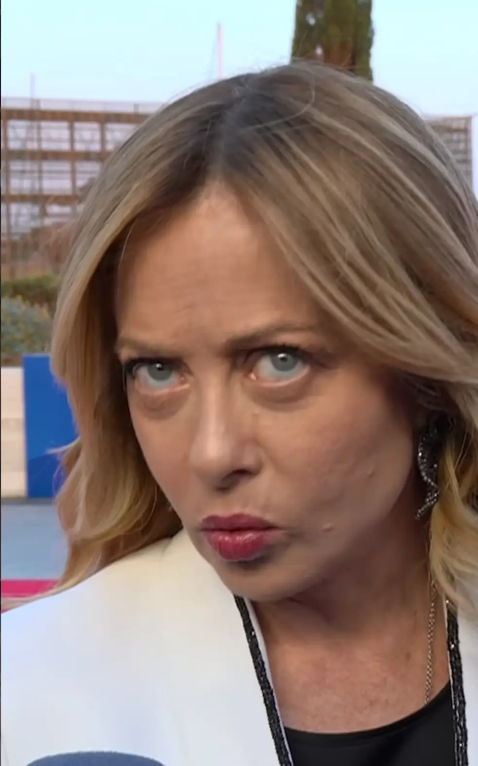 Giorgia Meloni has been a victim on a number of occasions (giorgia.meloni/instagram)