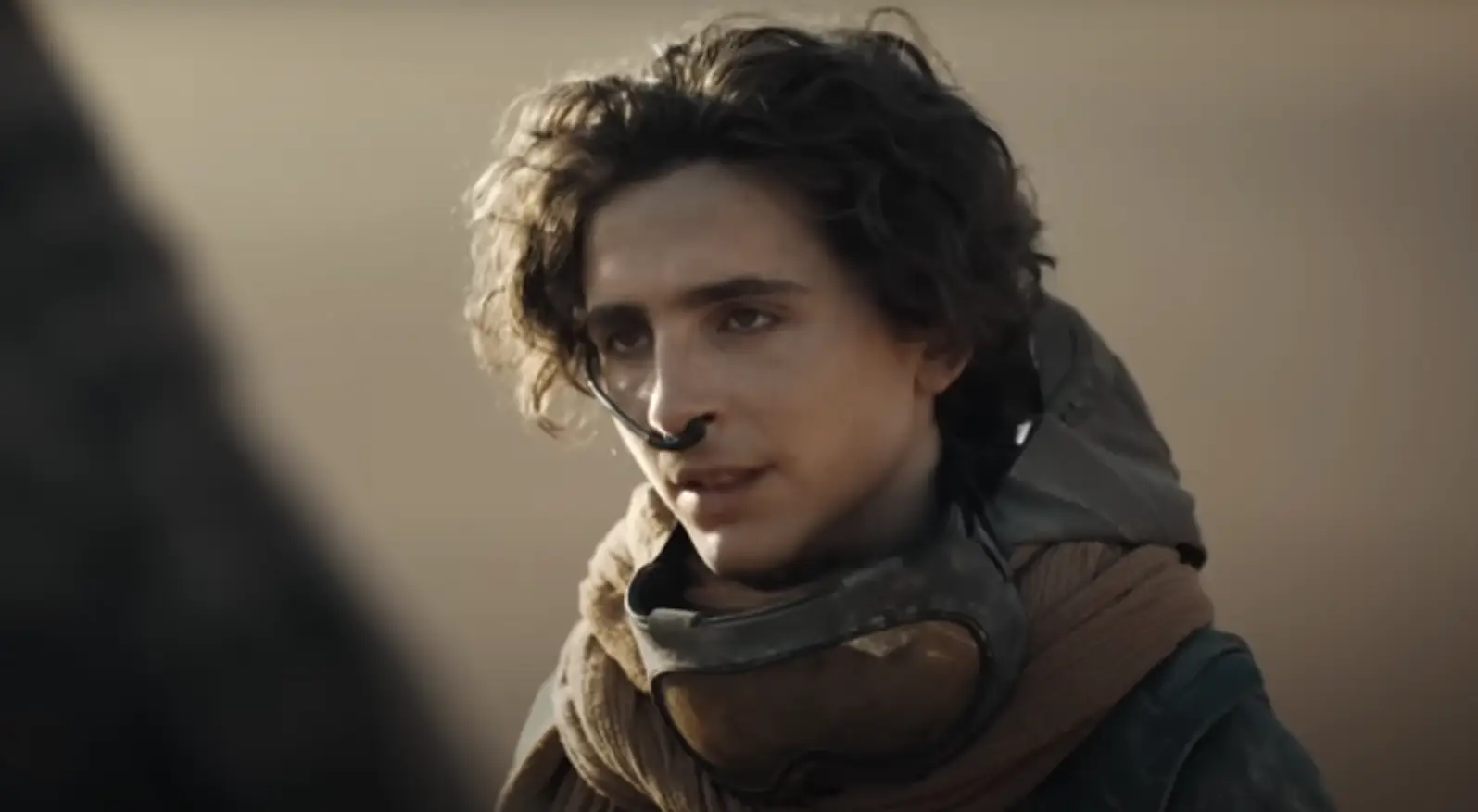 Timothee Chalamet starred in the only 2024 film this reviewer gave a perfect review (Warner Bros)