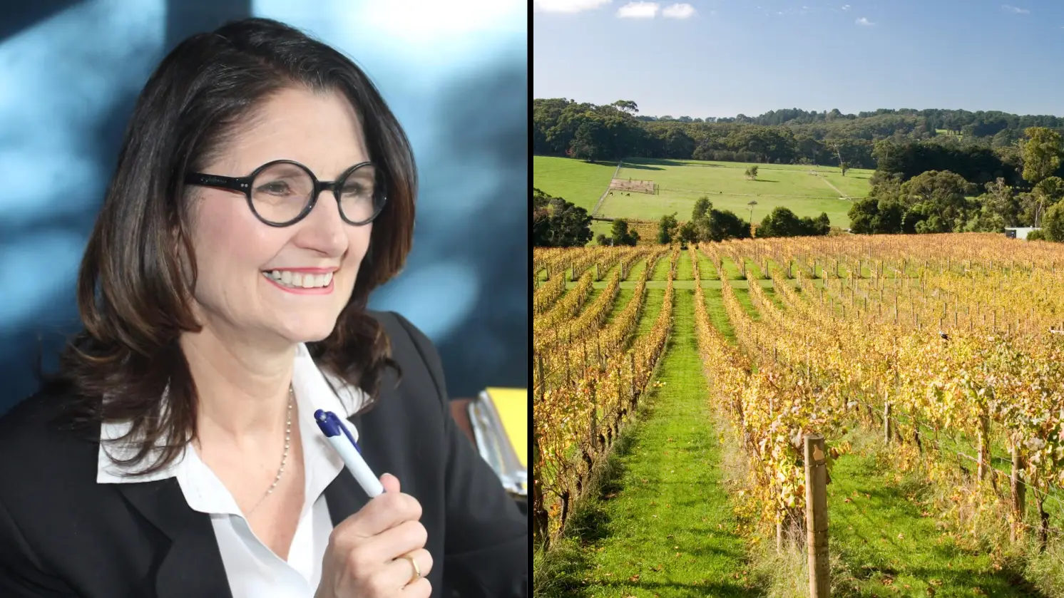 Committee for Mornington Peninsula. Philip Game / Alamy Stock Photo