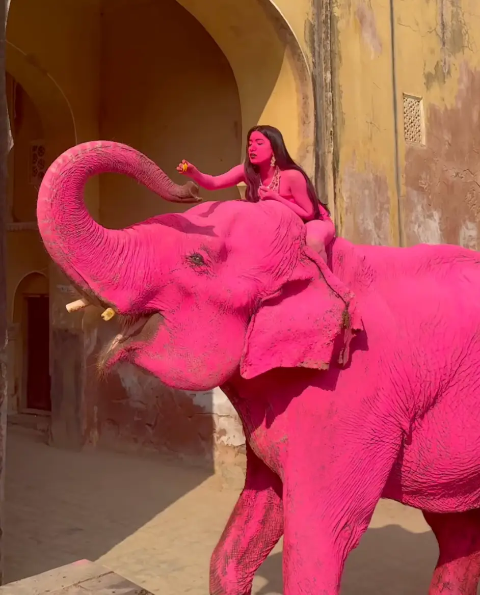 Buruleva said that the elephant died of old age (Instagram/julia.buruleva)