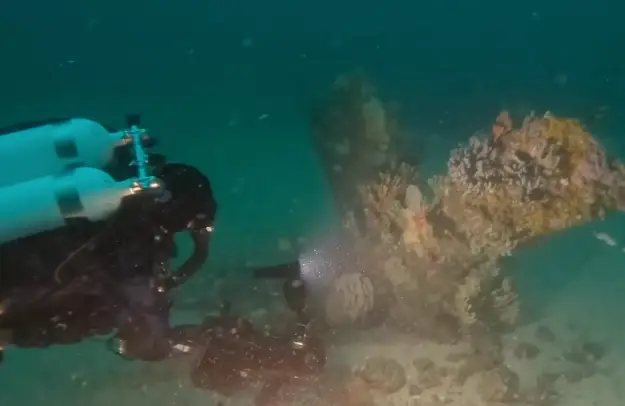 'To be the very first team on the wreck is mind blowing' (YouTube/7News)