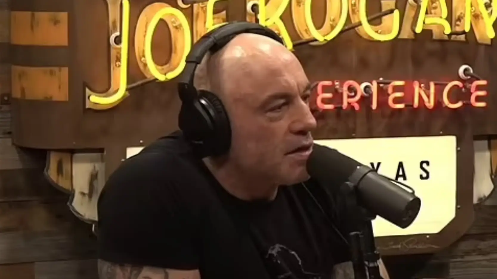 Joe Rogan Experience