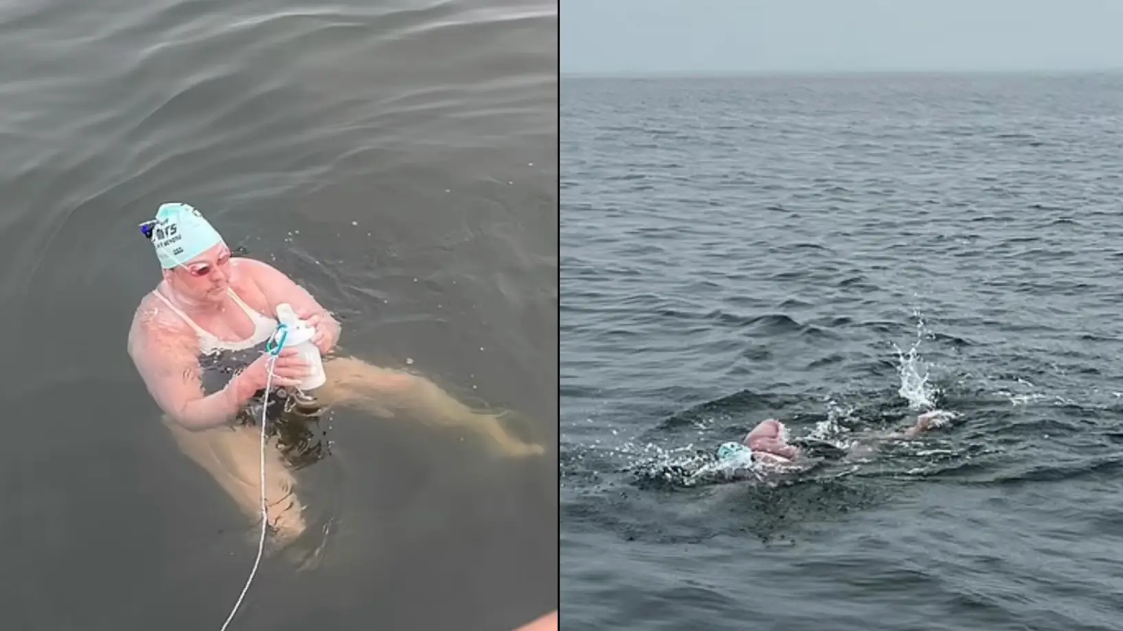 Marathon Swimmers Federation