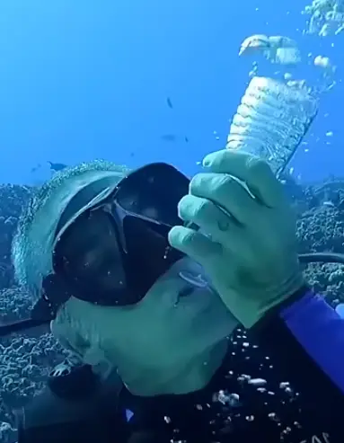 Benja Iglesis' shared footage of his experiment on YouTube (YouTube/@justscuba-e7b)