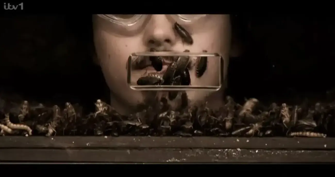 The I'm A Celeb presenters were left wondering who this was (ITV)