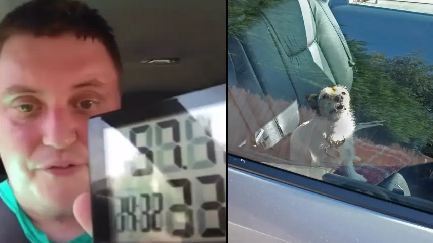 RSPCA Shares Terrifying Reality Of What It's Like To Be A Dog In A Car On A Hot Day