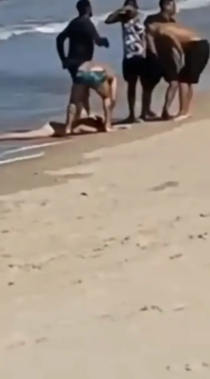 An 11-year-old was rushed to hospital after the attack (Newsflash)