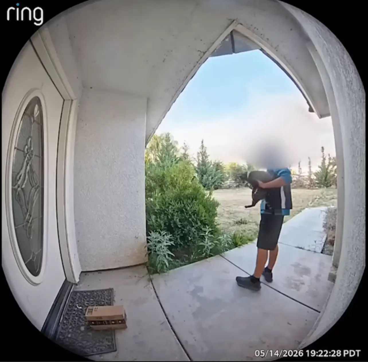 The delivery driver claims he adopted the cat for his daughter last year and says he has the paperwork to prove it (YouTube/KGET News)