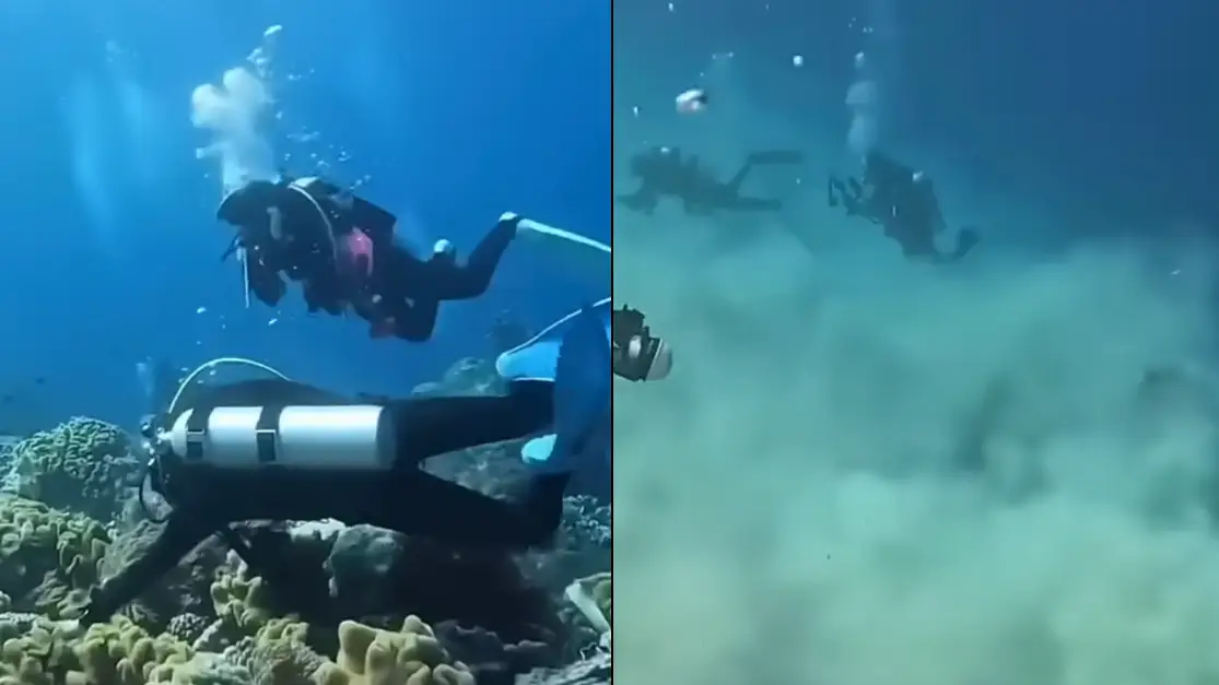 YouTube/10 News First/Bruce Diving