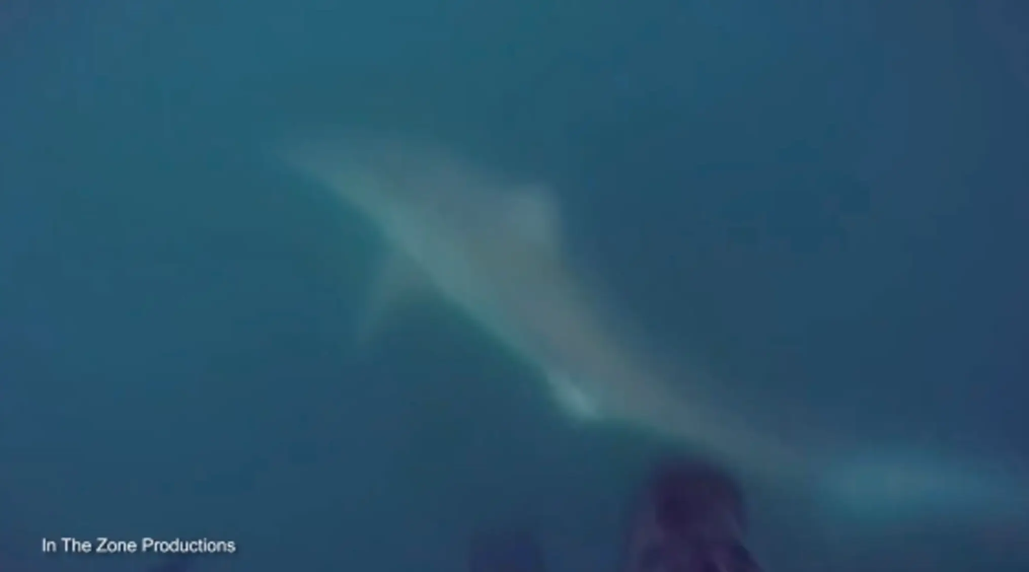 The moment was certainly a terrifying one.