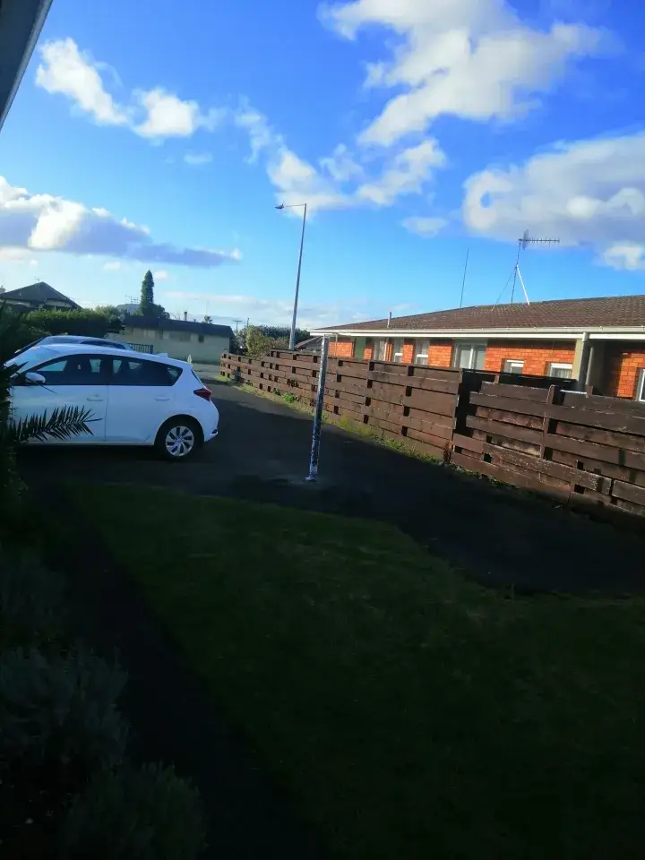 The pole in Sophie's driveway.