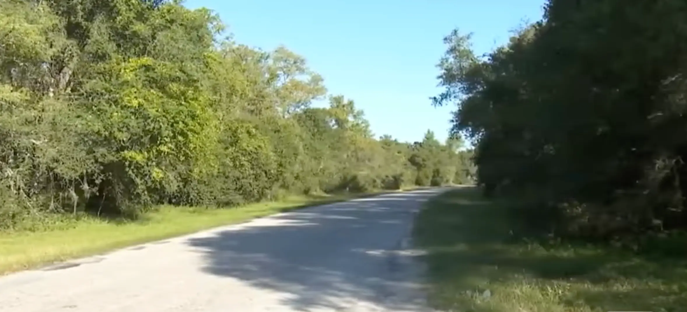 Her body was found in a wooded area in Florida (YouTube/WKMG News)
