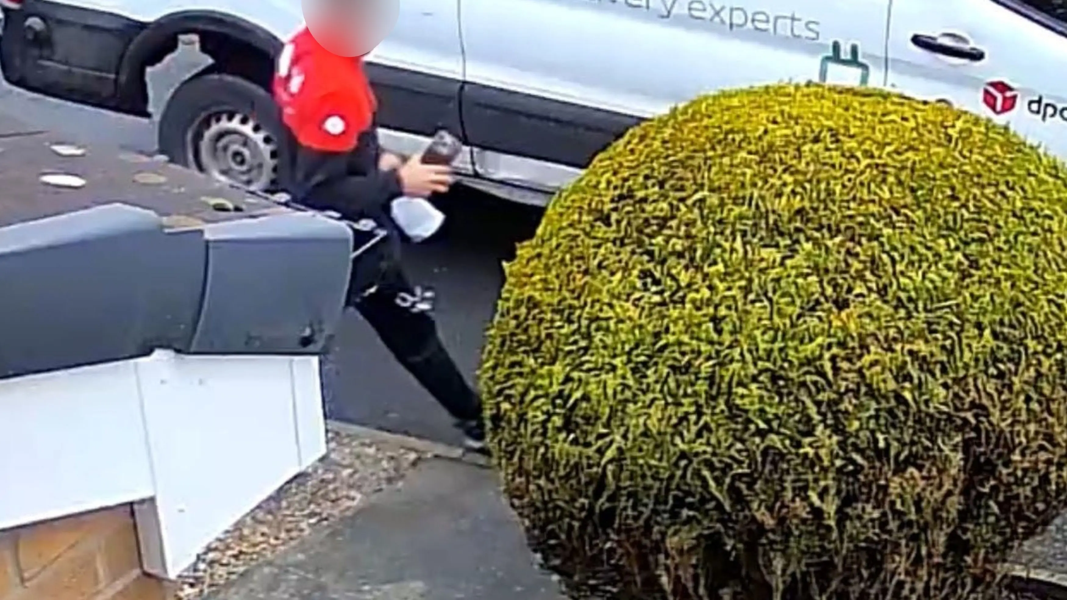 Kennedy News and Media