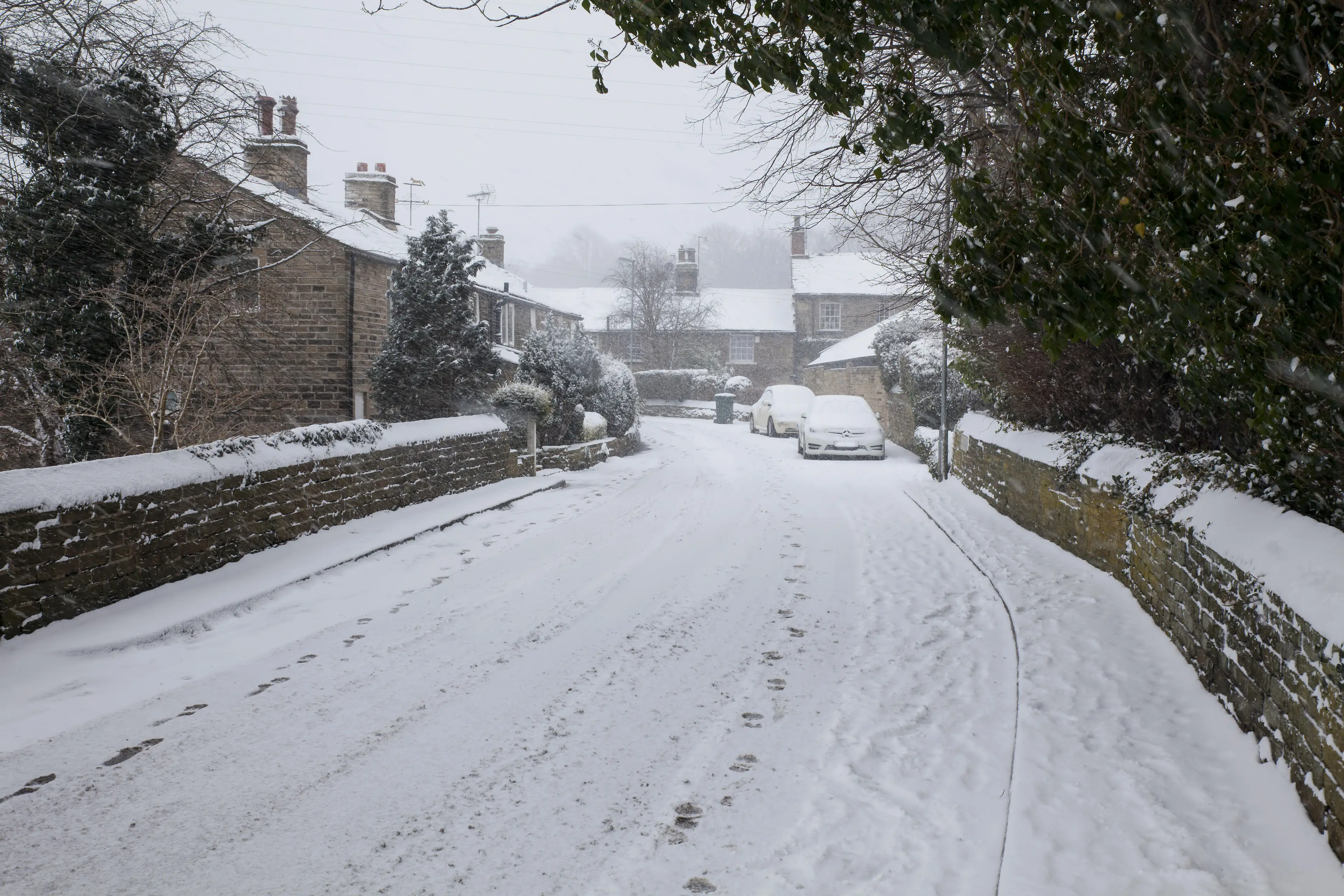 Bookies Ladbrokes meanwhile have slashed odds of a White Christmas to 6-4.