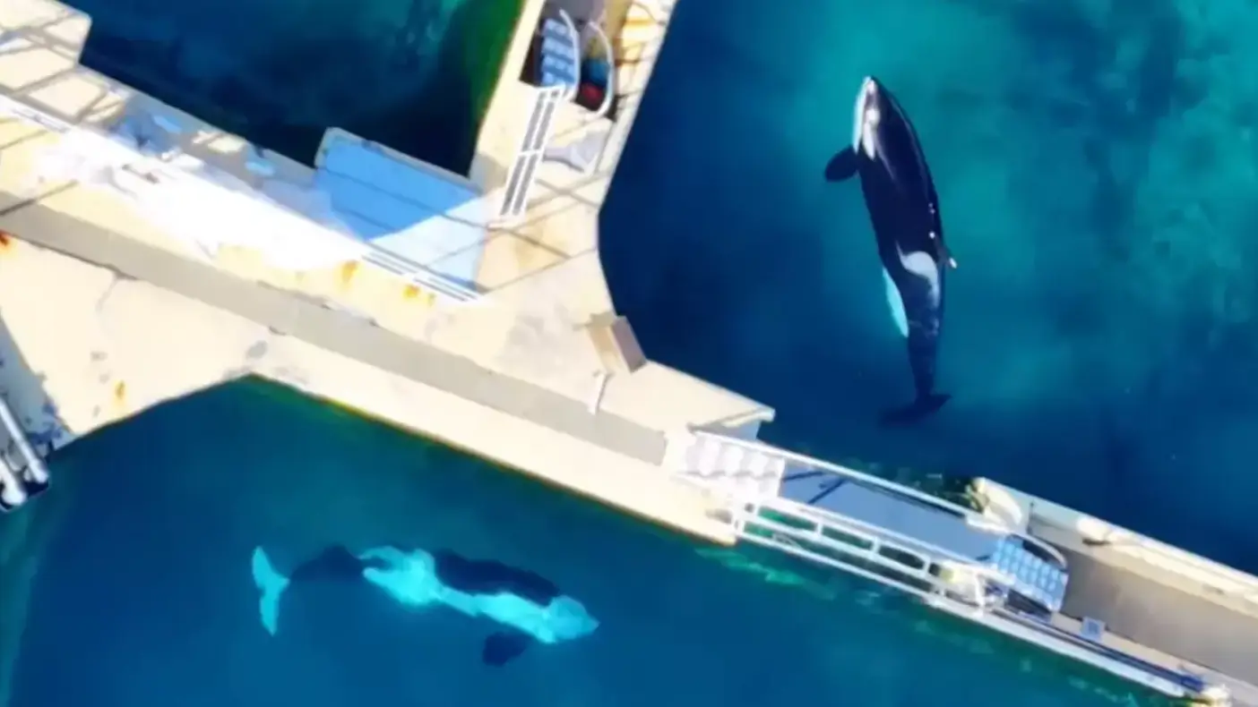 @‌wearetidebreakers/Instagram