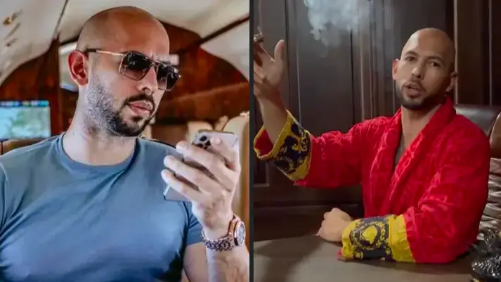 @Cobratate/Twitter/Instagram