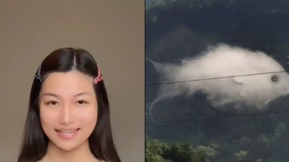 Pinterest/Tiktok/@mia_yilin