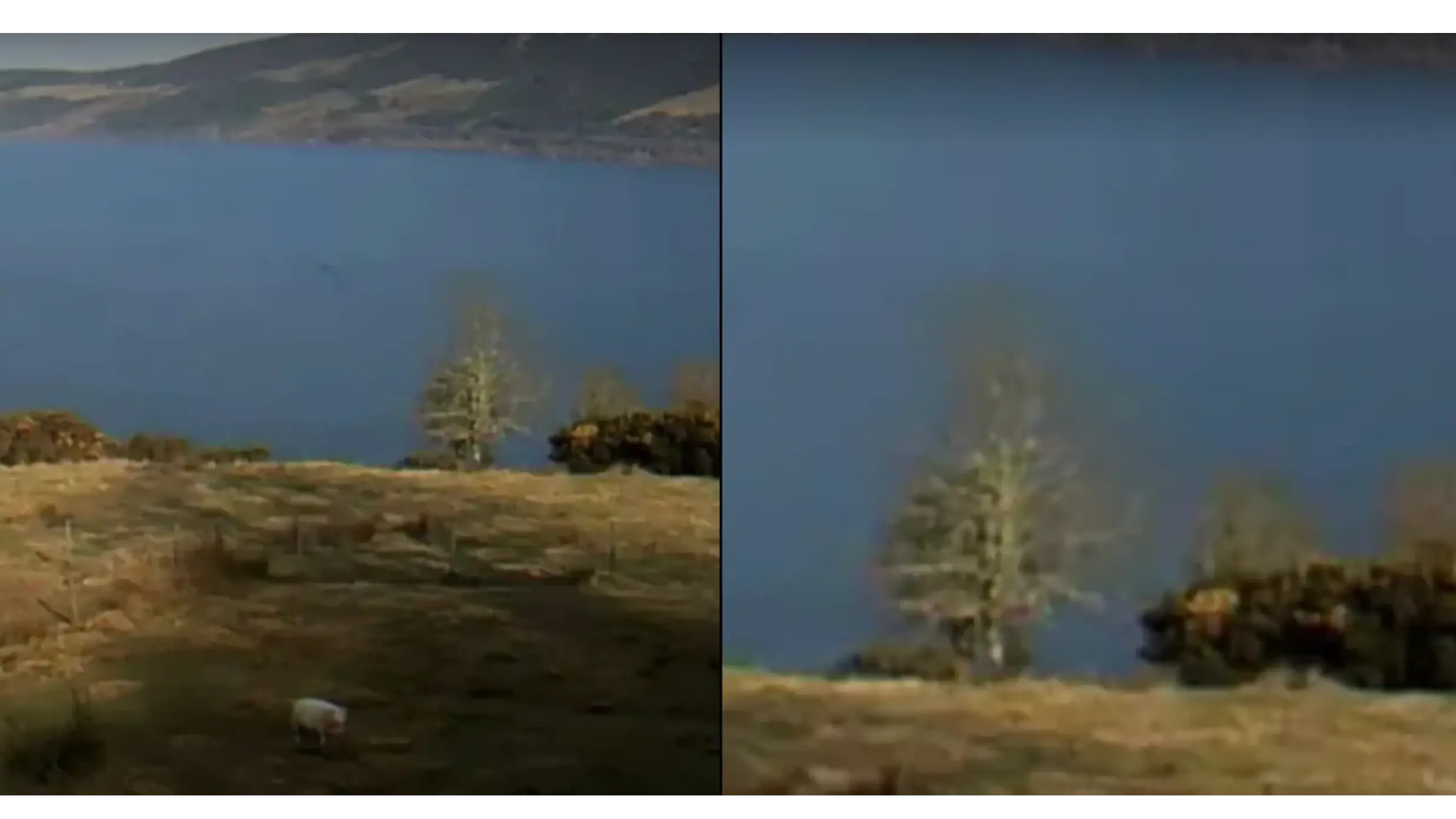 Nessie Resurfaces As First Official Sighting Of 2022 Recorded