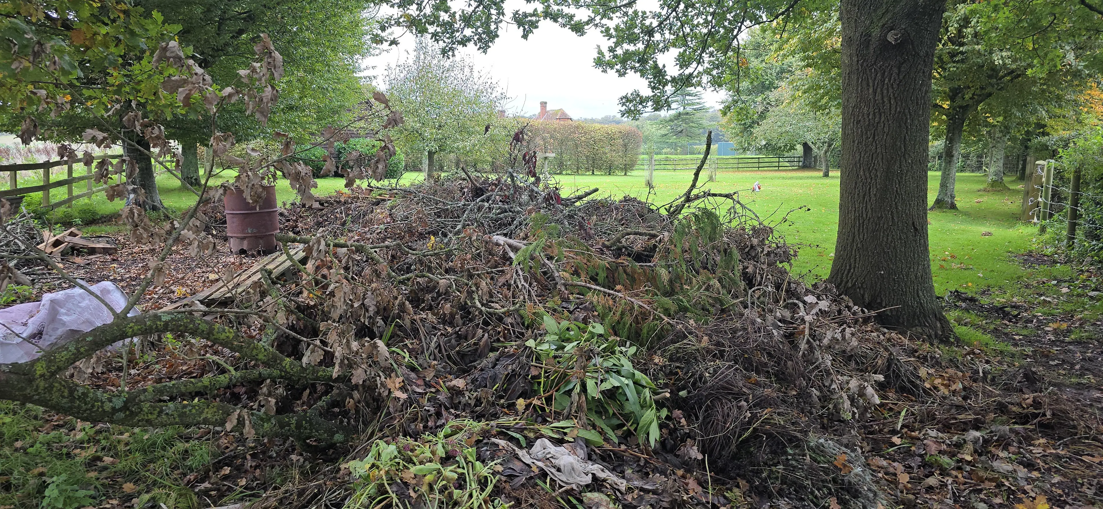 This one is not easy (Reddit/FindTheSniper)