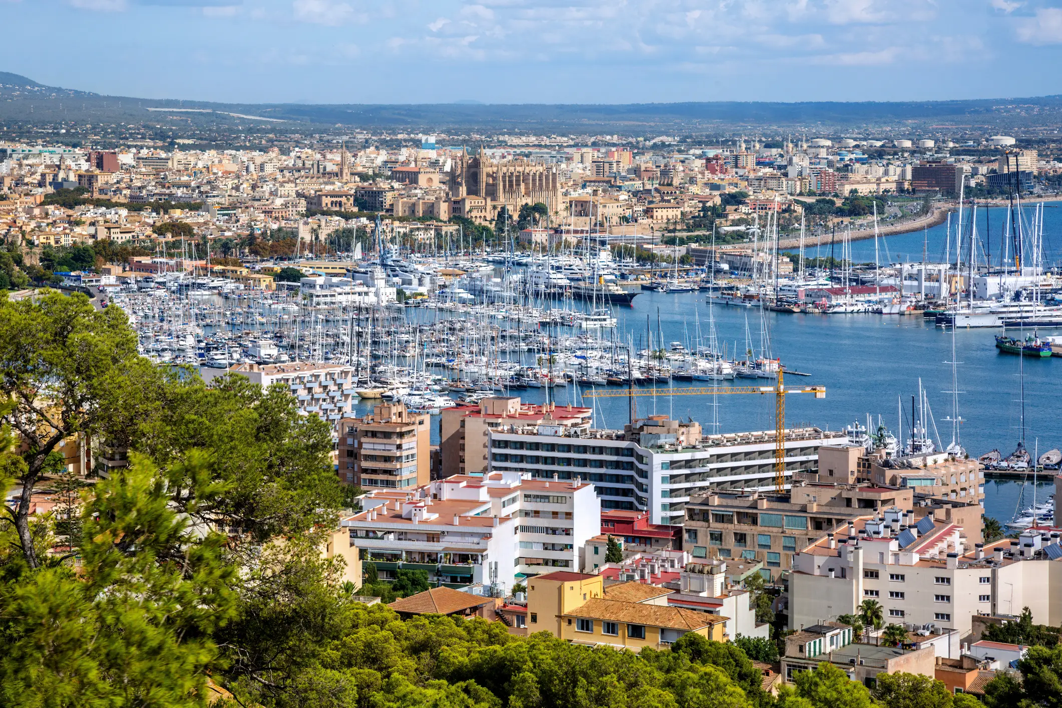 Palma, located in the island of Majorca, is flown to by millions of Brits every year (Getty Stock Images)