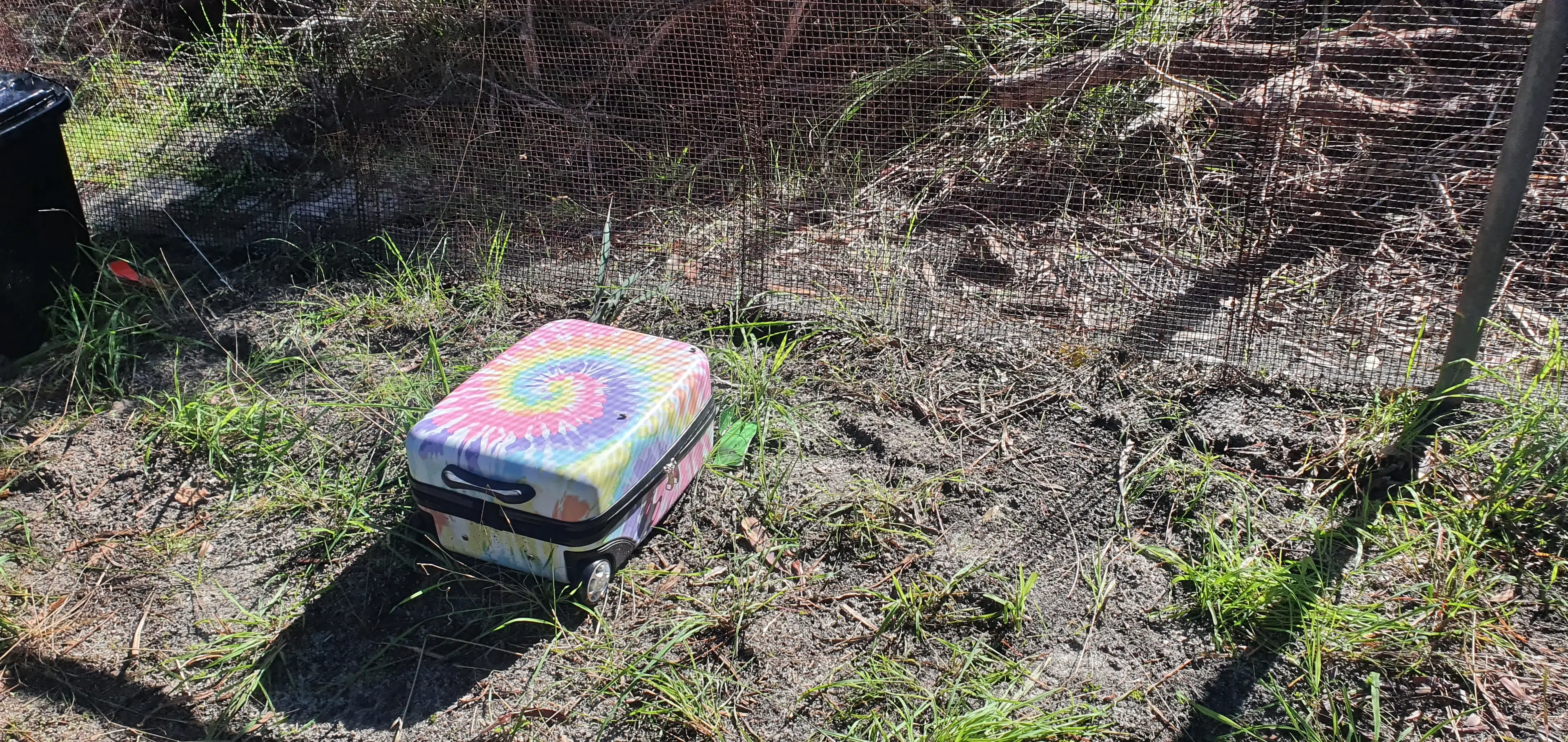 The suitcases are certainly eye-catching.