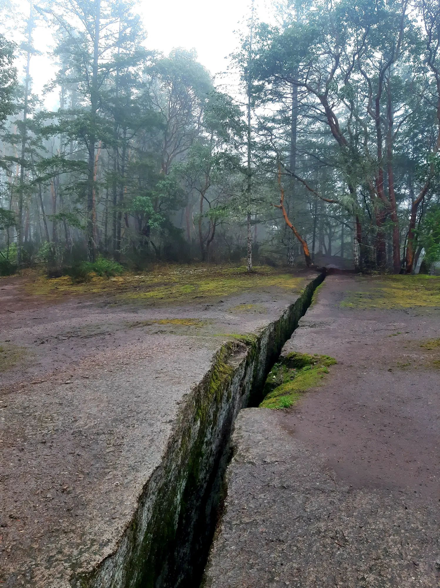 Watch your step (Getty Stock)
