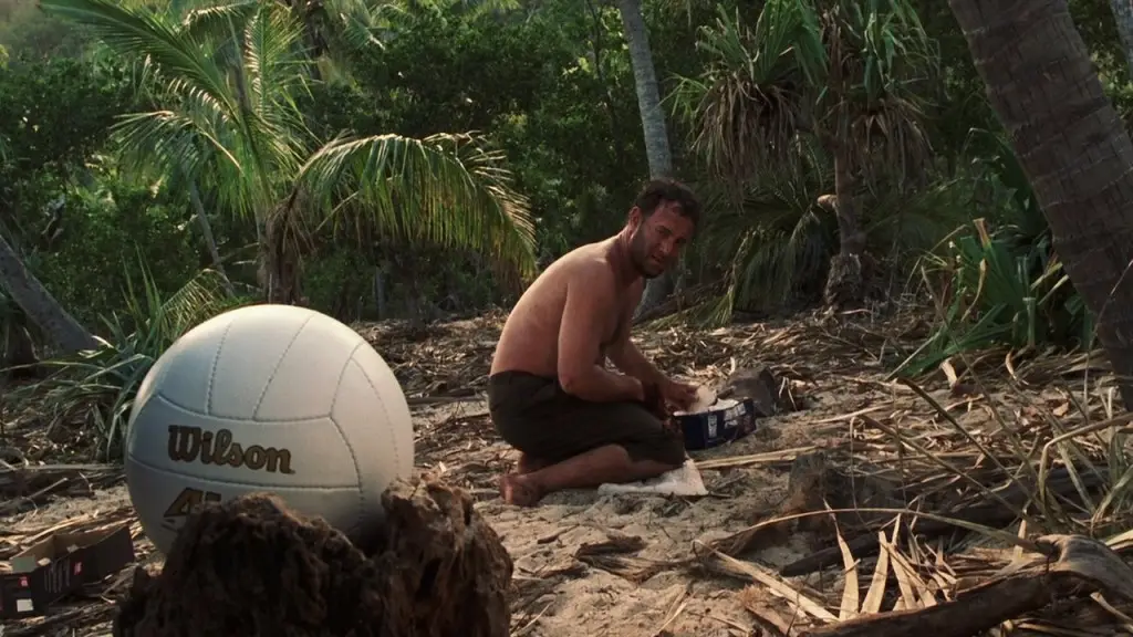 The two stars, Tom Hanks and a volleyball (Fox)