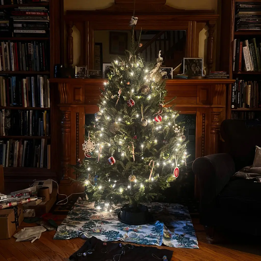 Sure they look nice, but how much do they cost? (Andrew Lichtenstein/Corbis via Getty Images)