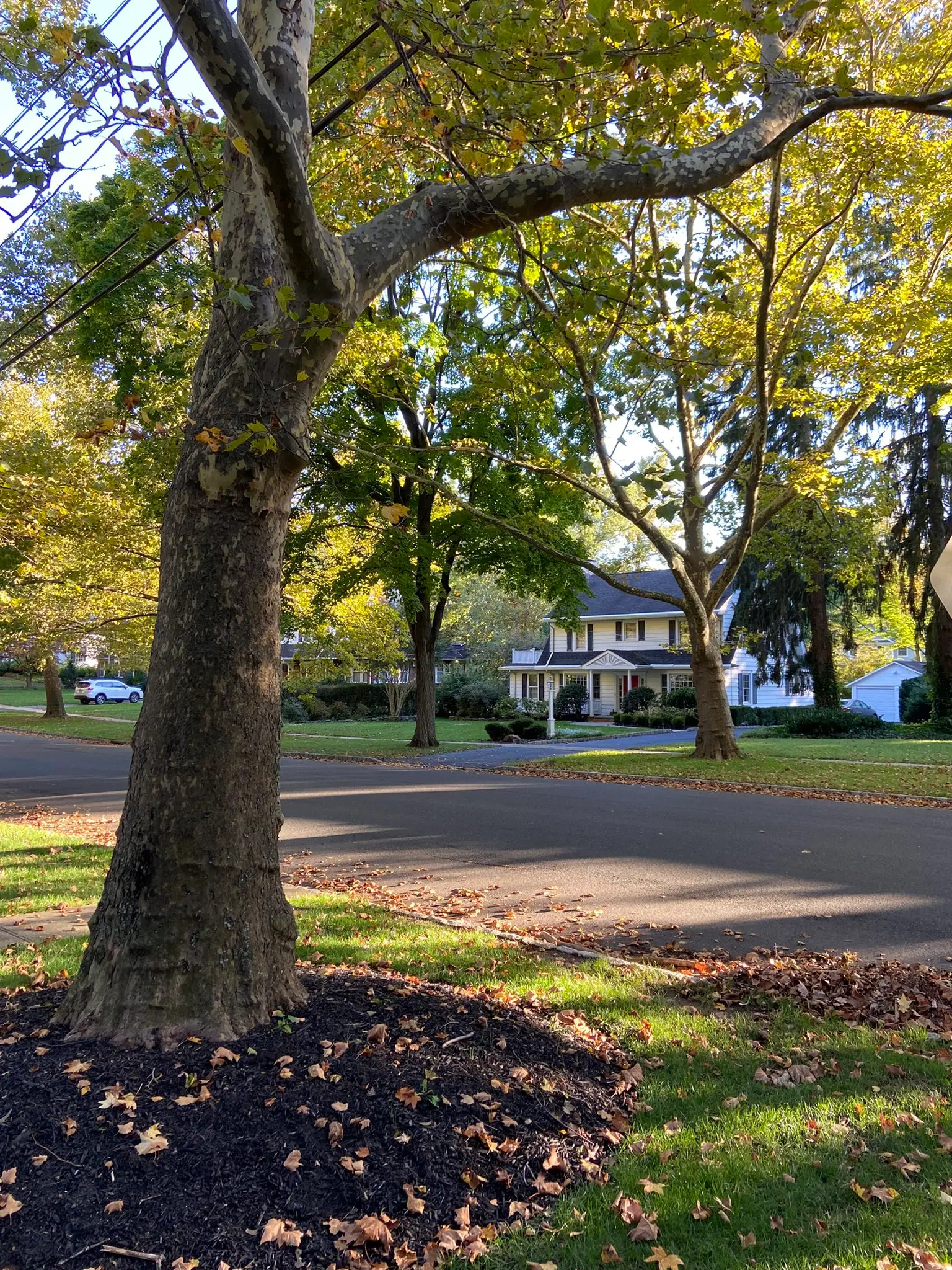 A woman who grew up locally to the house which inspired 'The Watcher' has shared one of her theories on events which unfolded in the first episode.