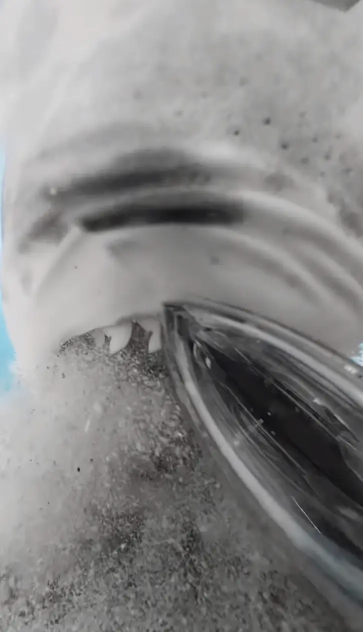 Conservationist and filmmaker filmmaker Zimy Da Kid was out in Maldives when he captured the footage.