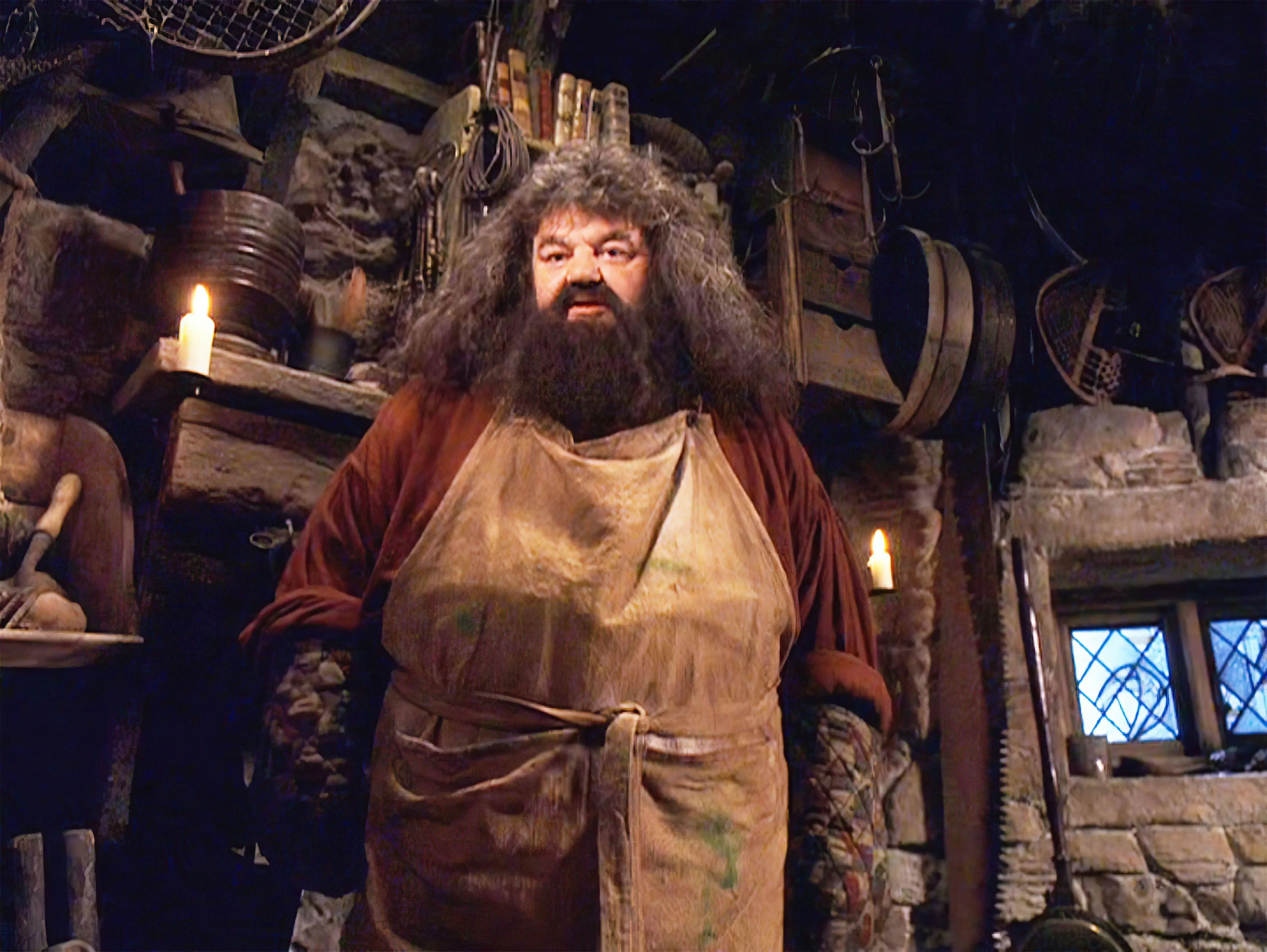 While a lot of beloved Harry Potter characters died, Hagrid survived.