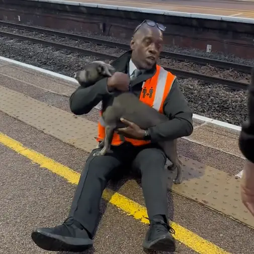 Paul has been labelled a hero for saving the dog.