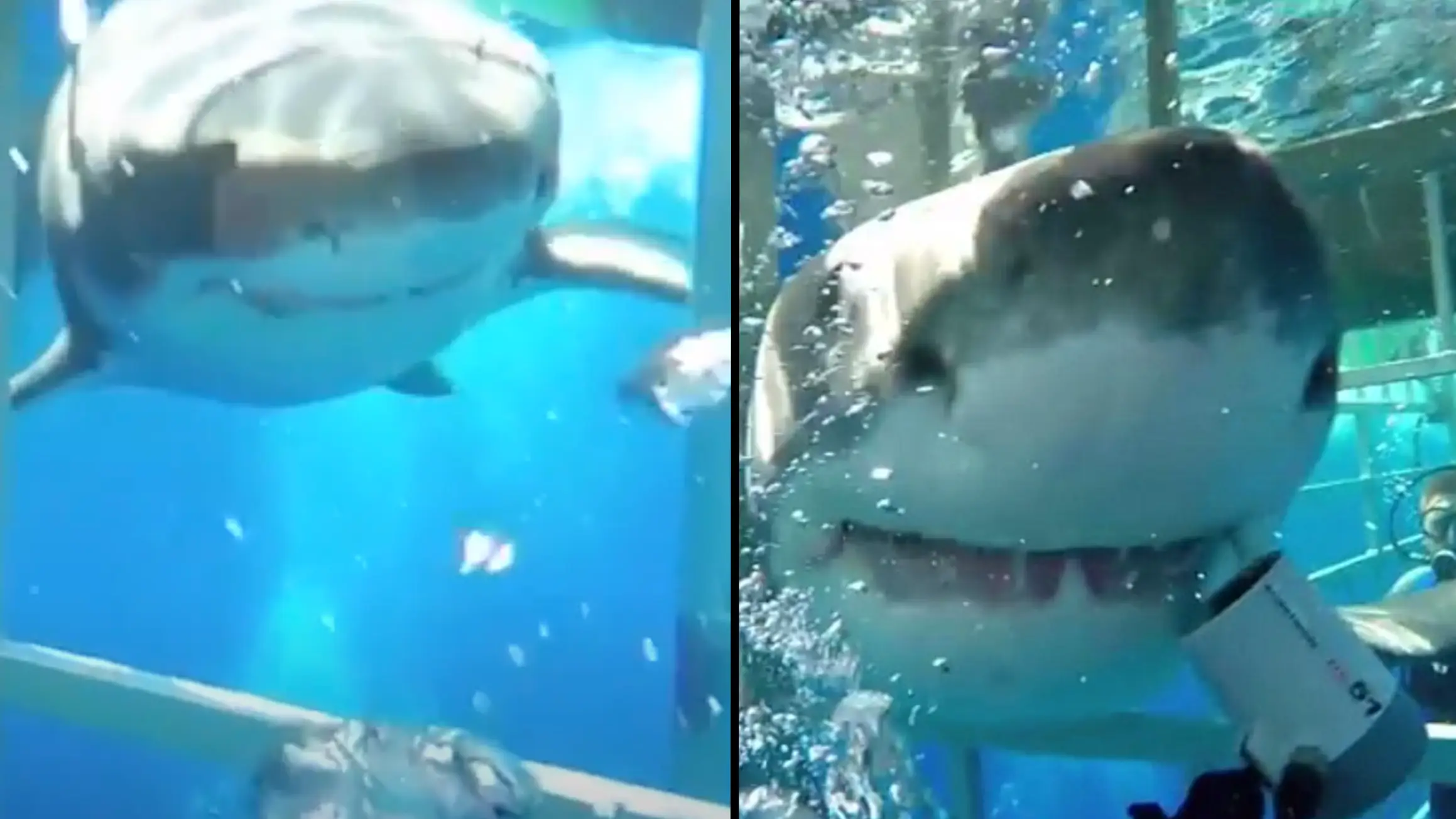 Craig Capehart via Storyful