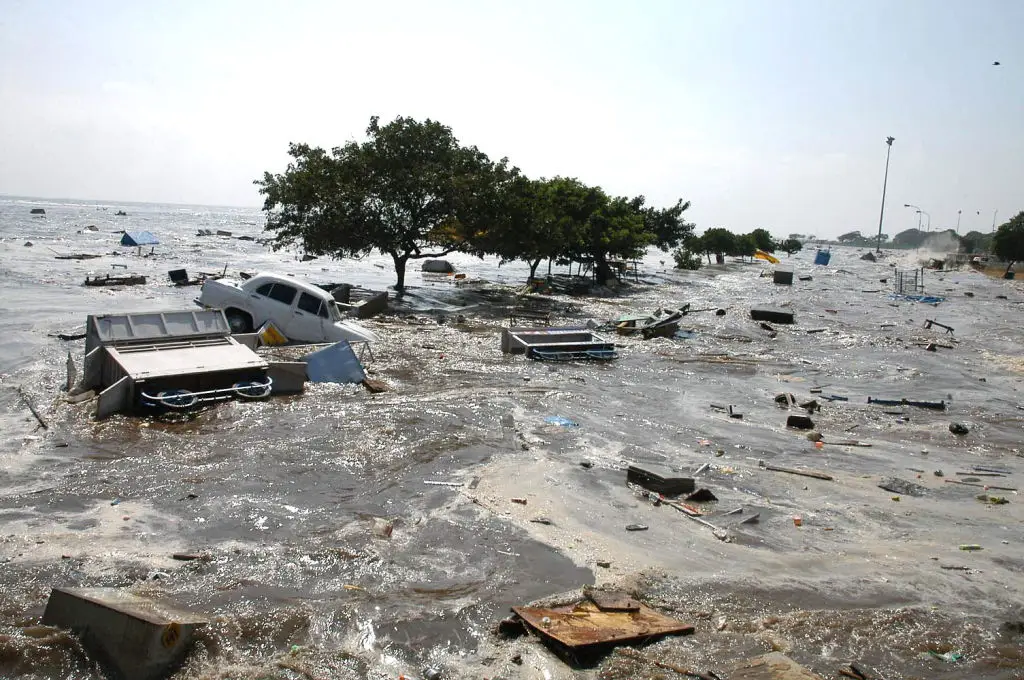 The tsunami was one of the worst in history (AFP via Getty Images)