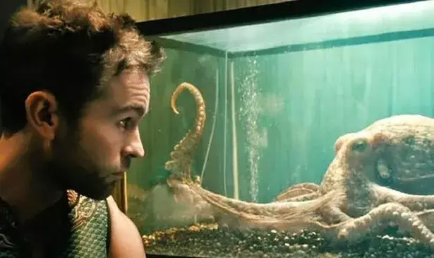 Not this time I'm afraid Ambrosia (Amazon Prime)